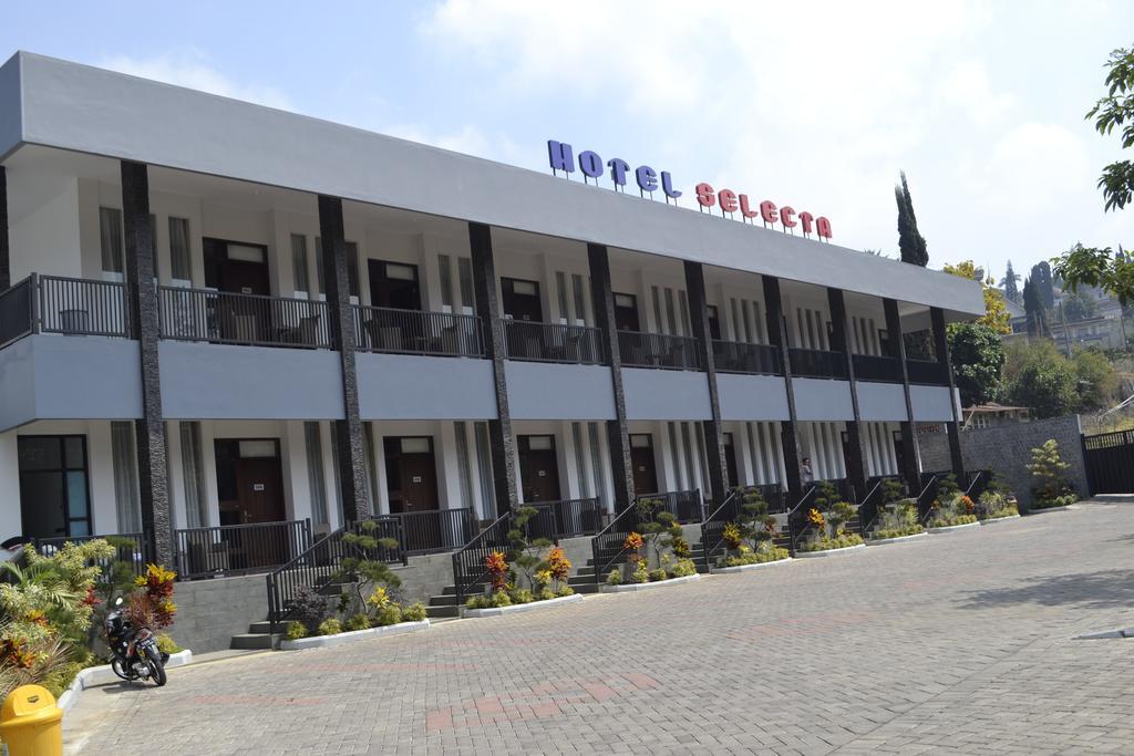 Hotel Selecta Бату Номер фото